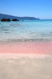 Untitled Design 200x300