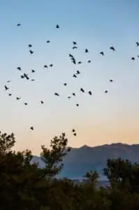 Find Your Magic Thematic Retreats Crete 199x300