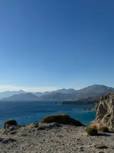 photo 2026 03 04 15 50 59 2