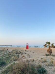 photo 2026 03 04 15 51 04 5