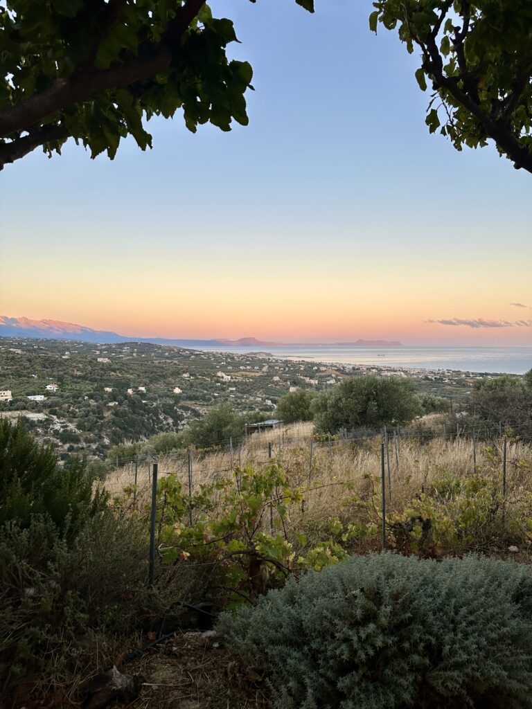 bespoke mini group adventures