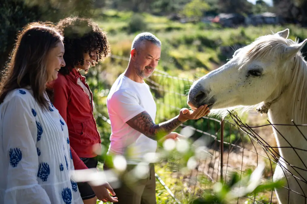 find your magic retreats parents teen reconnection